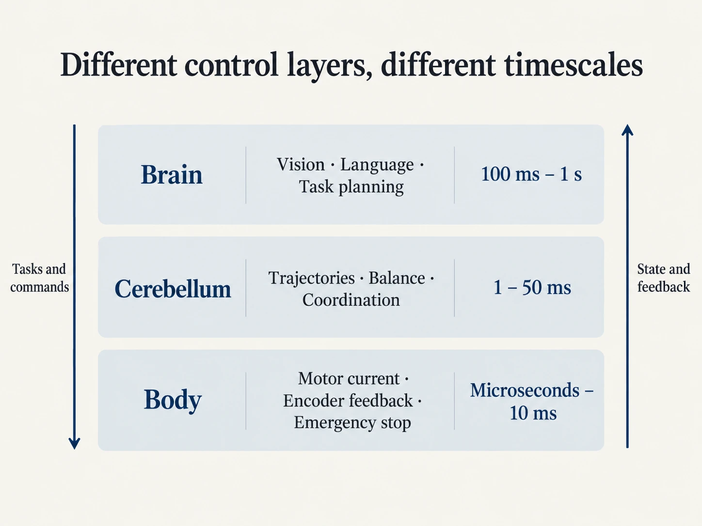 Three control layers: response times of the brain, cerebellum, and body