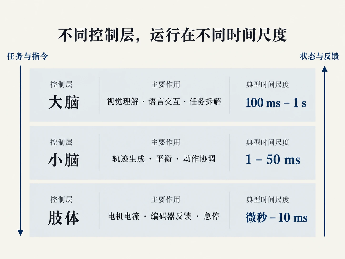 三层控制：大脑、小脑和肢体的响应时间