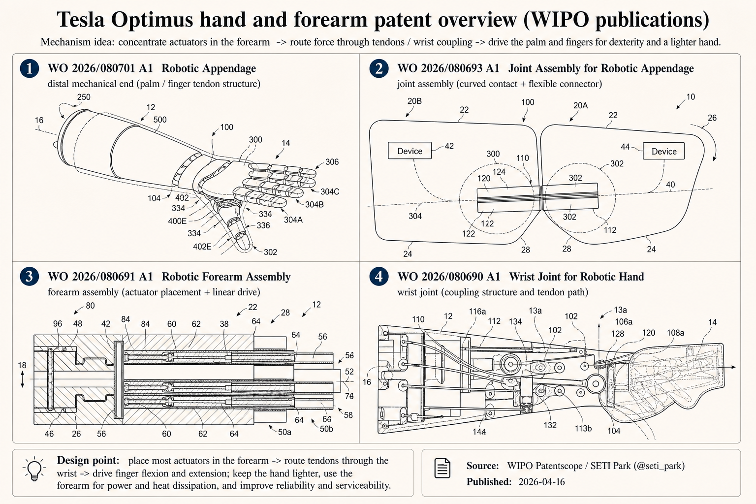 FIG. 1: full finger cross-section, with four phalanges 20A/B/C/D connected by three joint assemblies 100A/B/C